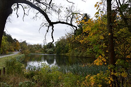 Kunstteich Harzgerode 2017