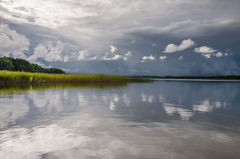 File:Kuremaa järv. 03.jpg