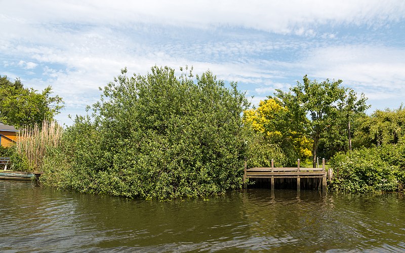 File:Lübeck, Alte Trave, Ufer -- 2017 -- 0283.jpg