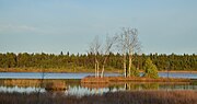 Thumbnail for Orkjärve Naturfredningsområde