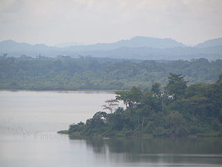 <span class="mw-page-title-main">Lake Ossa</span> Lake in Littoral Province of Cameroon