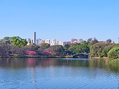State São Paulo