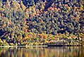 Huinfiuca Lagoon, Villarrica National Park, Los Lagos and Los Ríos regions, Chile