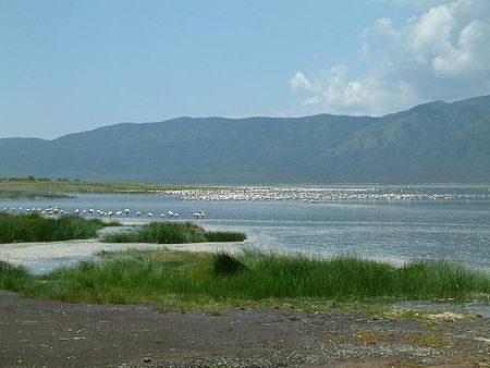 Thung lũng Tách giãn Lớn, Kenya