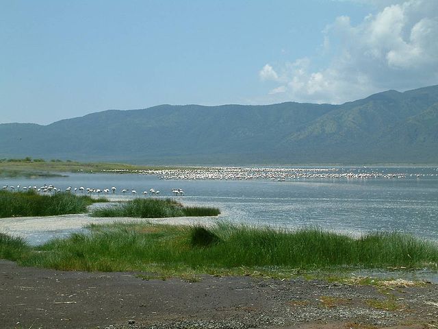 Lake Bogoria, one of the main lakes in the Great Rift Valley.