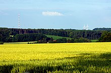 Land- und forstwirtschaftliche Flächen am Westerberg in Billerbeck