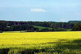 Landschaft am Westerberg.jpg