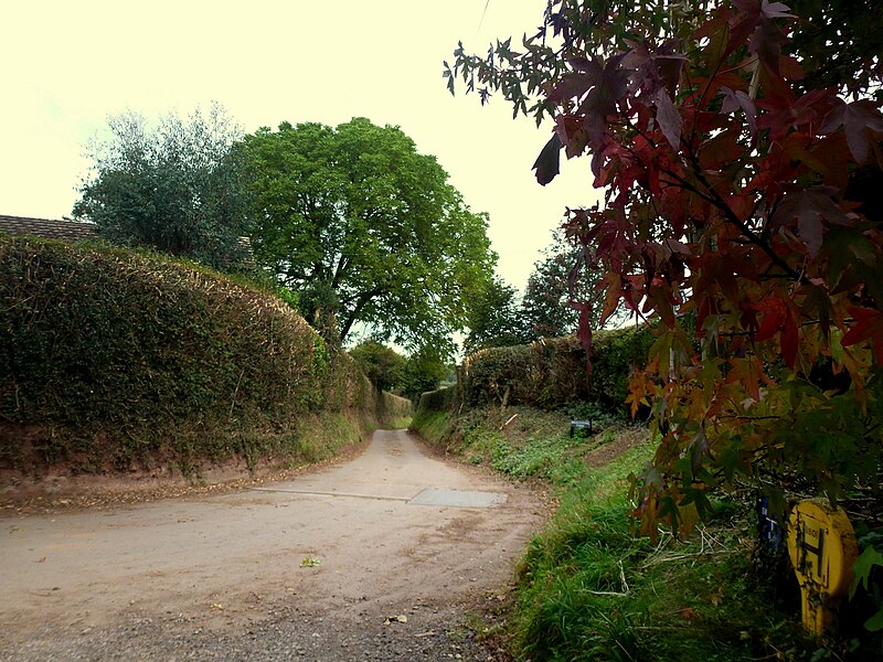 File:Lane and footpath to Bigglestone, 2016 - geograph.org.uk - 5146797.jpg