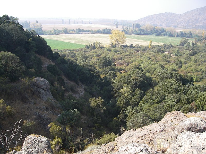 File:Las Canteras. - panoramio (20).jpg