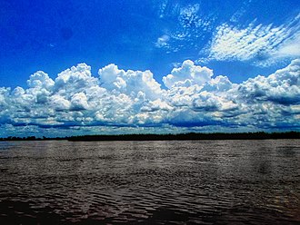 River Logone, Cameroon Le fleuve logone.jpg