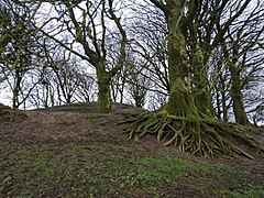 Lemonstown Motte, County Wicklow, Ireland. 5.jpg