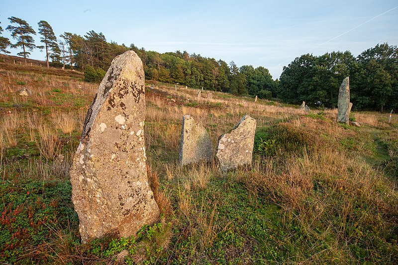 File:Li gravfält – rest sten med fler i bakgrunden.jpg