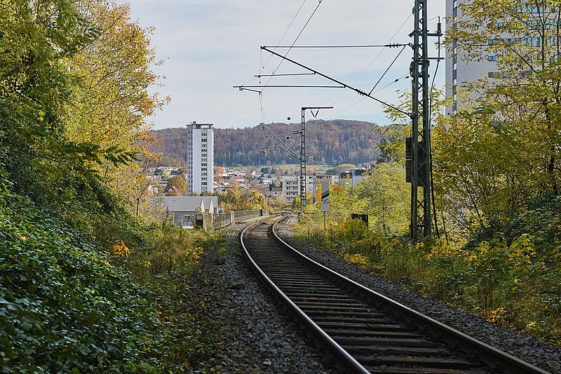 File:Linie der Gartenbahn in Lörrach-Stetten.jpg