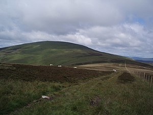 Lange Ziege mit Blick auf Cat Law - geograph.org.uk - 494016.jpg