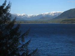 Looking up the Tsimpsean Peninsula from across Morse Basin.webp