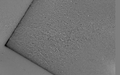 Magnetic domains and domain walls in non-oriented silicon steel (image made with CMOS-MagView)