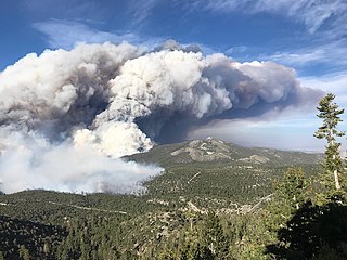 <span class="mw-page-title-main">Mahogany Fire</span> 2020 wildfire in Nevada, U.S.