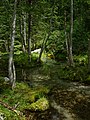 * Nomination Branch of the Seebach stream near Mallnitz, High Tauern National Park, Carinthia, Austria --Uoaei1 05:02, 4 March 2020 (UTC) * Promotion  Support Good quality -- Johann Jaritz 05:21, 4 March 2020 (UTC)