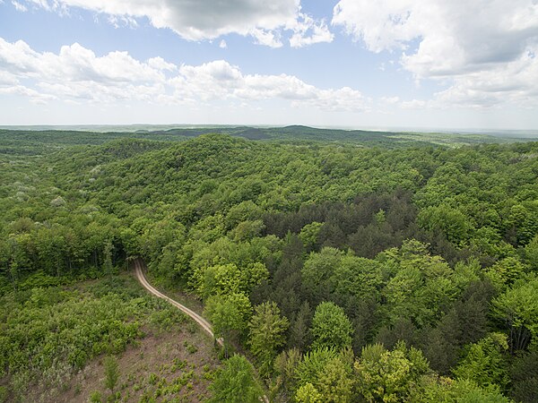 A United States Forest Service (USFS) road near Briar Hill