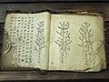 A family tree document in Yi script