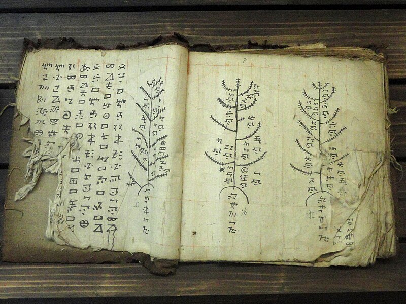 File:Manuscripts in the Yunnan Nationalities Museum - DSC03982.JPG