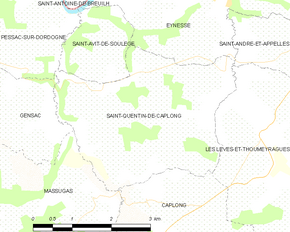Poziția localității Saint-Quentin-de-Caplong