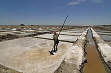 A salt evaporation pond in Tamil Nadu, India Marakkanam Salt Pans.JPG