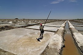 Marakkanam Salt Pans, Tamil Nadu