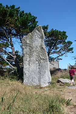 Imagen ilustrativa del artículo de Menhir du Reun