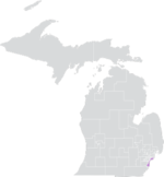 Michigan Senate District 1 (2010).png