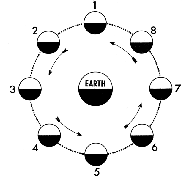 File:Moon Orbit (PSF).png