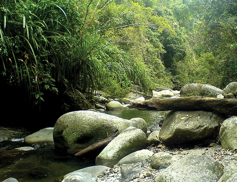 File:Mountain creek, Taranaban River tributary, Palawan.jpeg