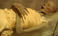 Mummy-UpperClassEgyptianMale-SaitePeriod RosicrucianMuseum.png