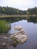 Thumbnail for Nuuksio National Park