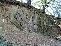 Fuchshall quarry