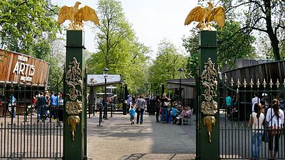 How to get to Artis with public transit - About the place