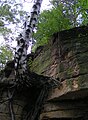 Čeština: Přírodní památka Na skalách nedaleko Rabštejnské Lhoty v okrese Chrudim English: Nature Monument Na skalách near Rabštejnská Lhota in Chrudim District