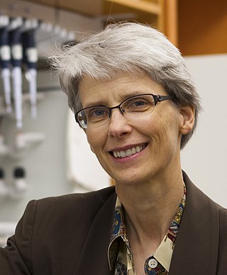 <span class="mw-page-title-main">Nancy Allbritton</span> American biologist