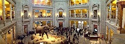National Museum of Natural History Rotunda pano.jpg