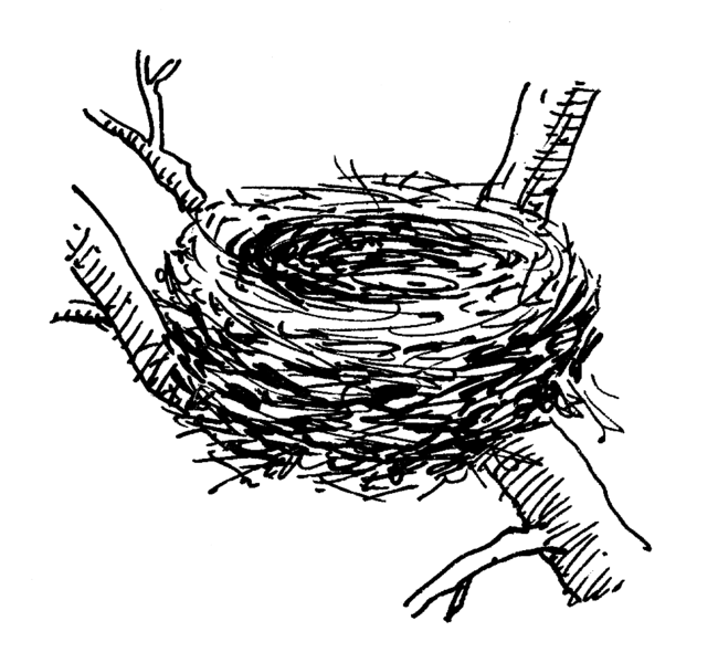 File:Nest - Bird (PSF).png