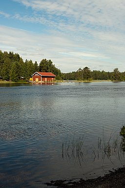 Niinivesi i juli 2010