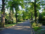 Nordfriedhof (Leipzig)