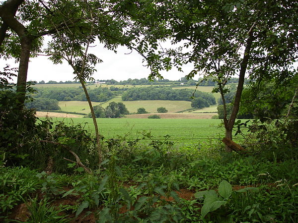 The Hog's Back seen from the North Downs Way at Puttenham.