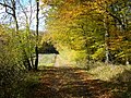 Odersberg im Herbst 2