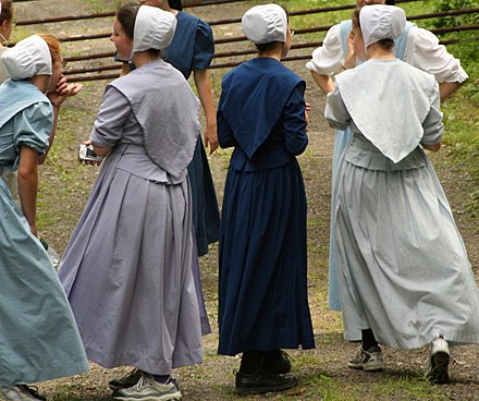 Old Order Anabaptist and Conservative Anabaptist women, for modesty, wear cape dresses and headcoverings, the latter of which is taught as a church ordinance.[101]