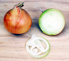onion (Allium cepa)
