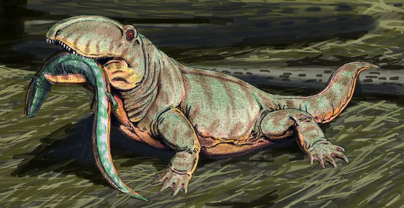 File:Ophiacodon mirus cropped.png