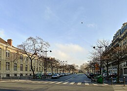 Przykładowe zdjęcie artykułu Avenue Dorian