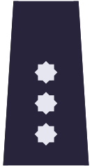 Komisarz(Polish Policja)