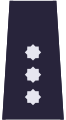 Komisarz (Polish Policja)